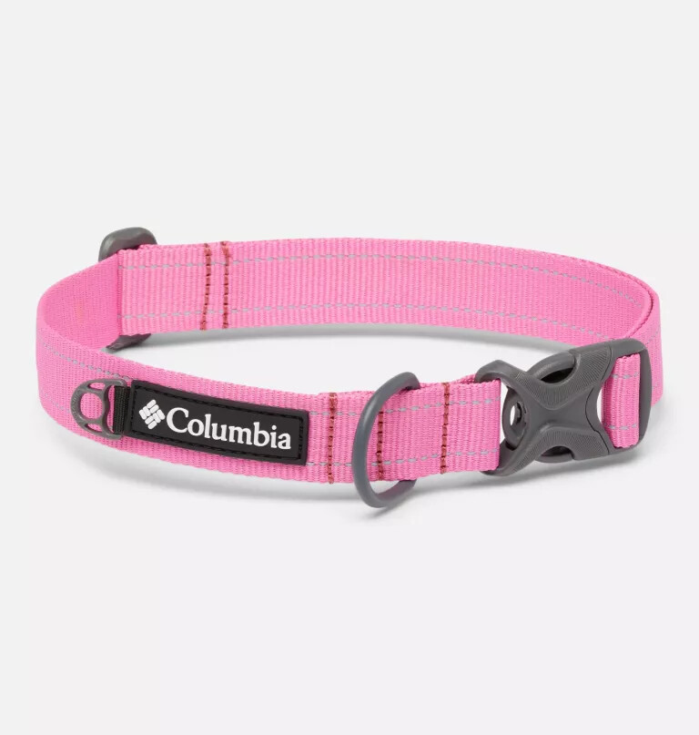silver ridge hundehalsband
