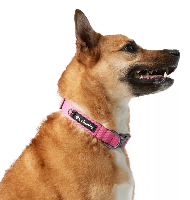 silver ridge hundehalsband