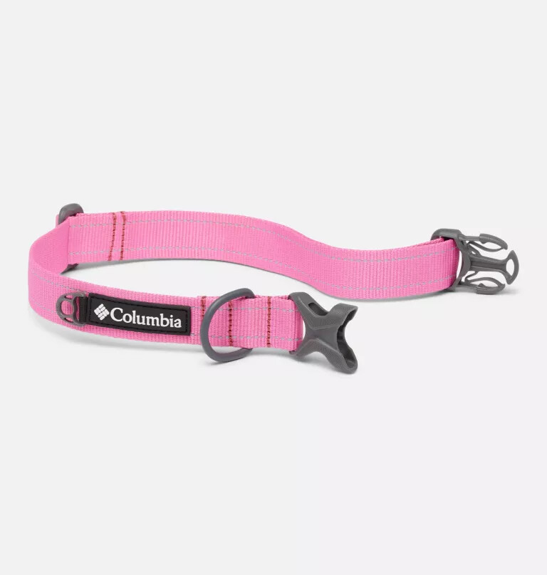 silver ridge hundehalsband