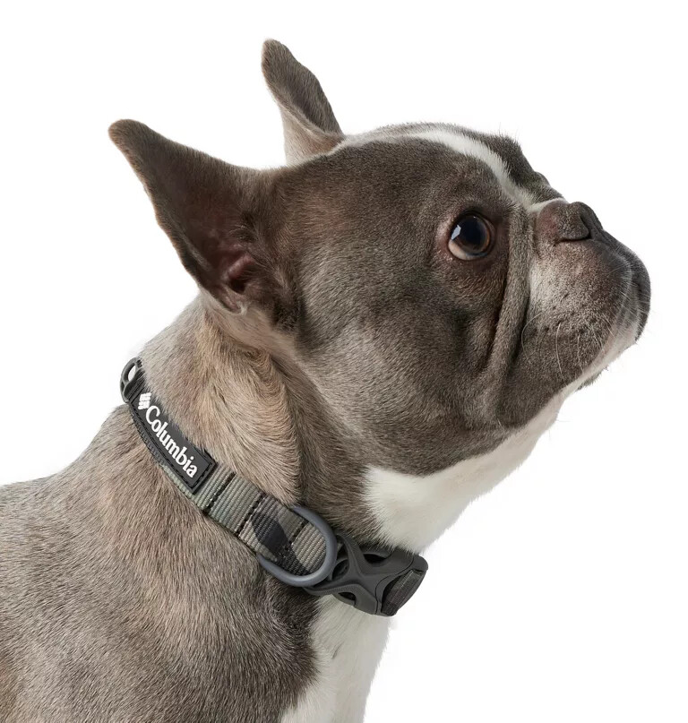 silver ridge hundehalsband