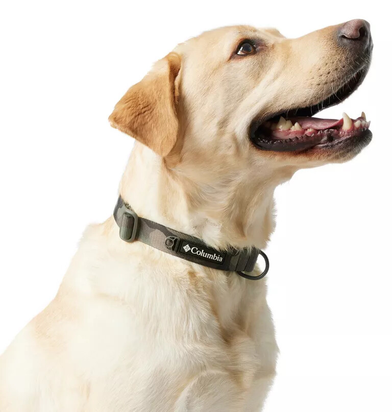 silver ridge hundehalsband