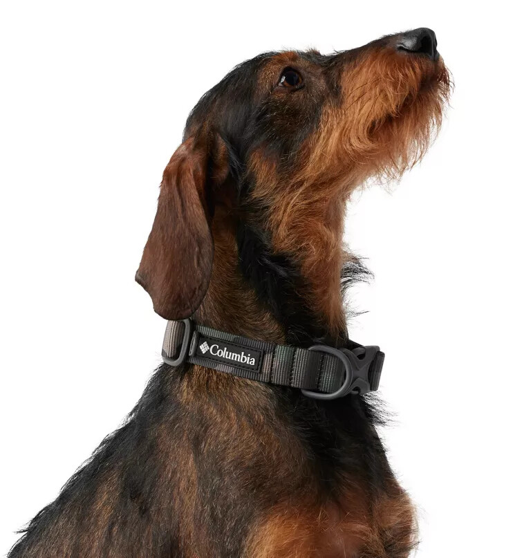 silver ridge hundehalsband