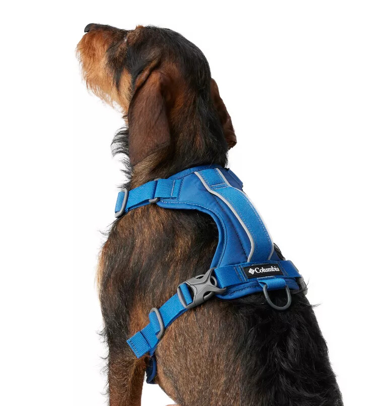 silver ridge hundegeschirr