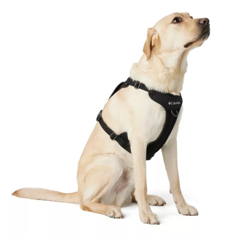 silver ridge hundegeschirr