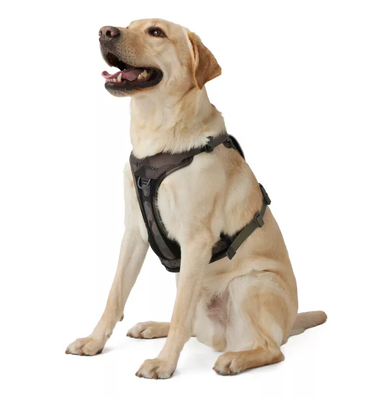 silver ridge hundegeschirr