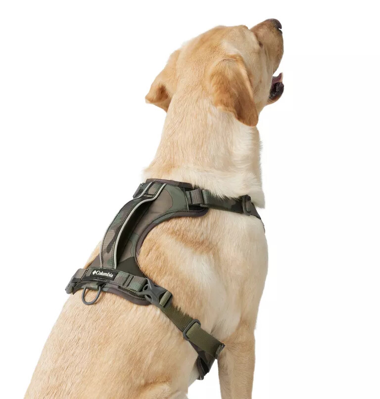 silver ridge hundegeschirr