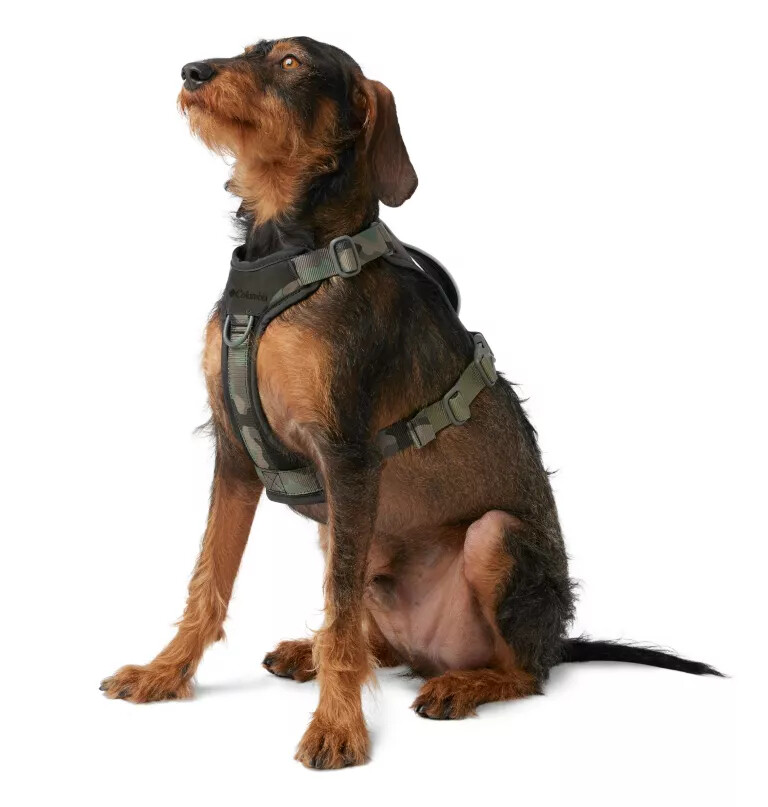silver ridge hundegeschirr