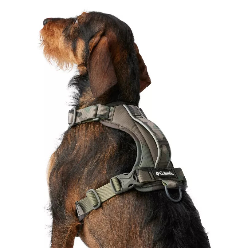 silver ridge hundegeschirr
