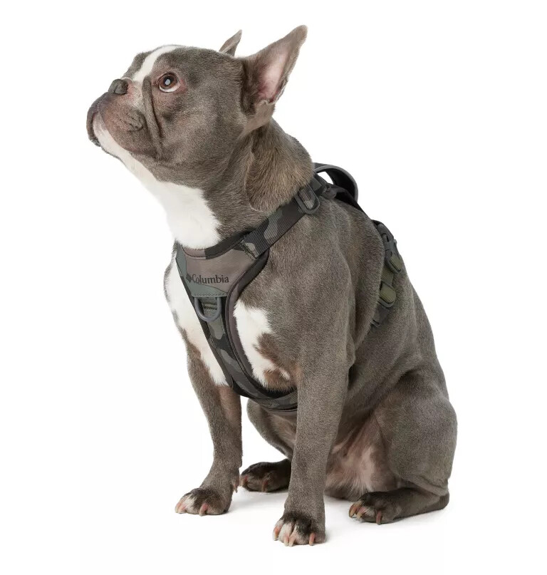 silver ridge hundegeschirr