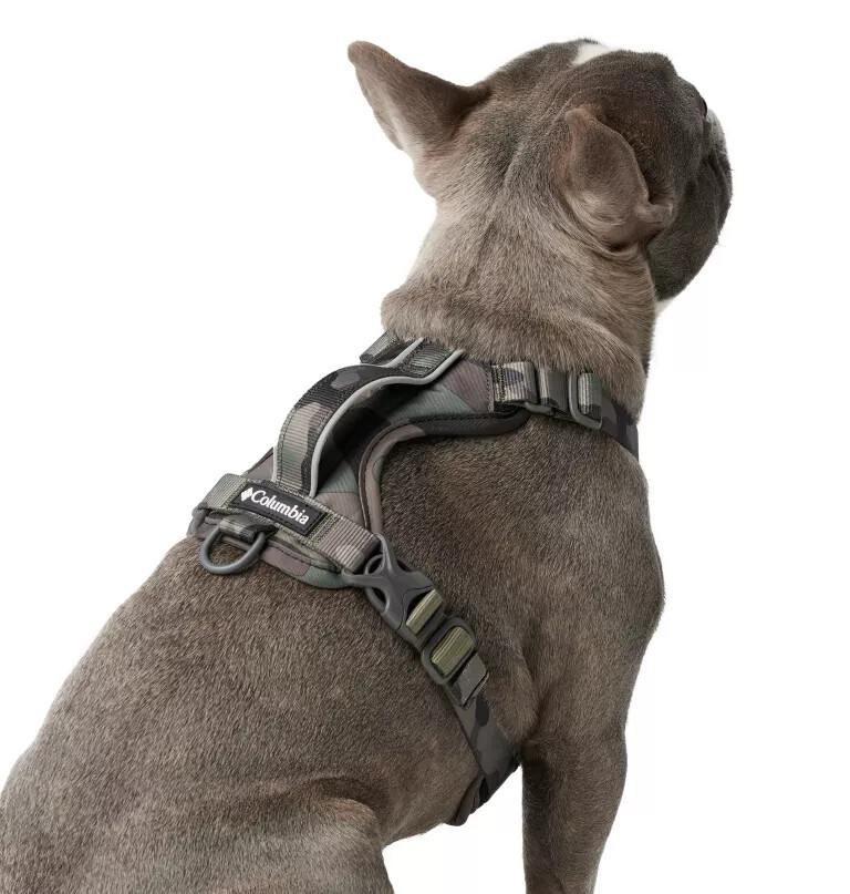 silver ridge hundegeschirr