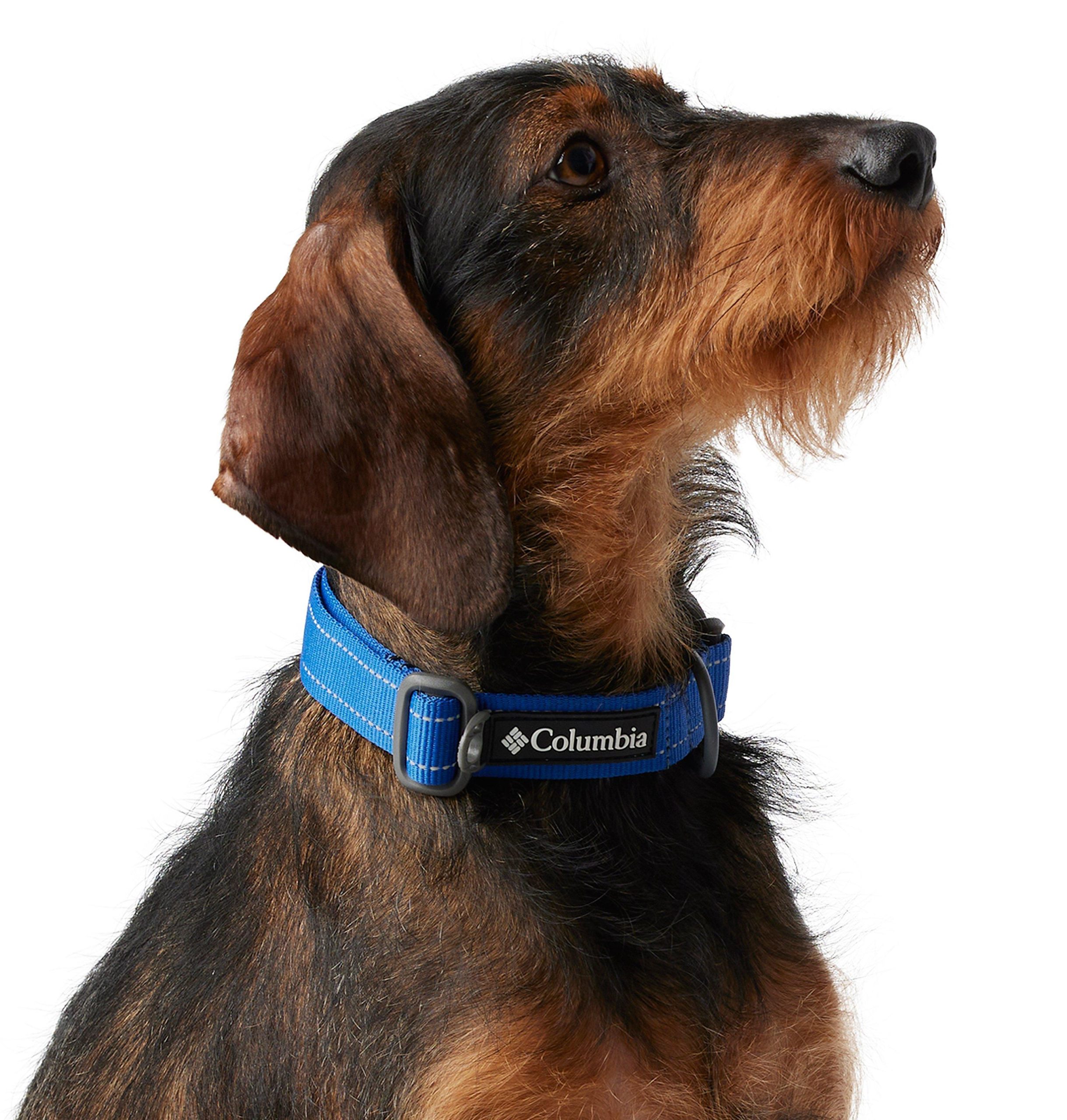 silver ridge hundehalsband