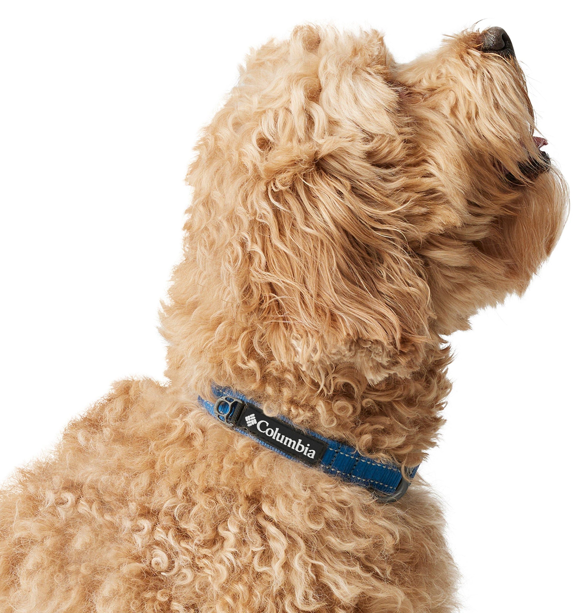 silver ridge hundehalsband